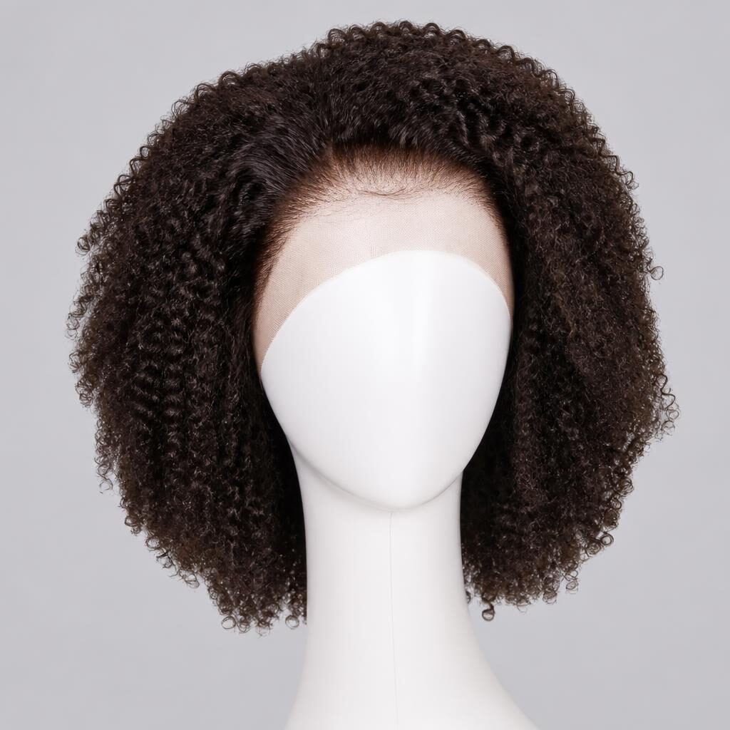 Kinky Curly Lace Front Wig